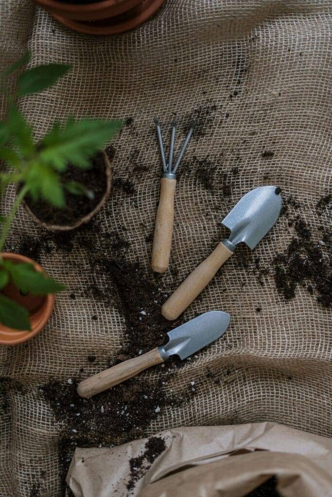 Foto con herramientas y plantas representando el cuidado de plantas de interior.