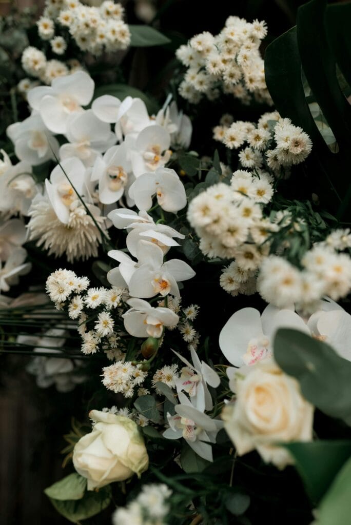 Un conjunto de orquídeas y otras plantas de interior con flor.