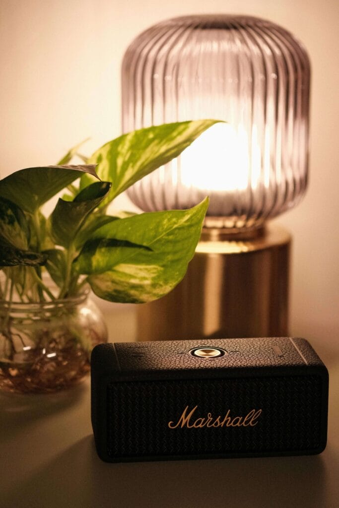 Pothos en el baño, bien iluminado y cuidado, con humedad y raíces en agua